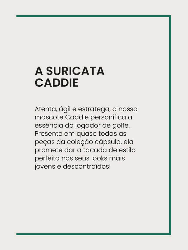 Utilize para ver mais