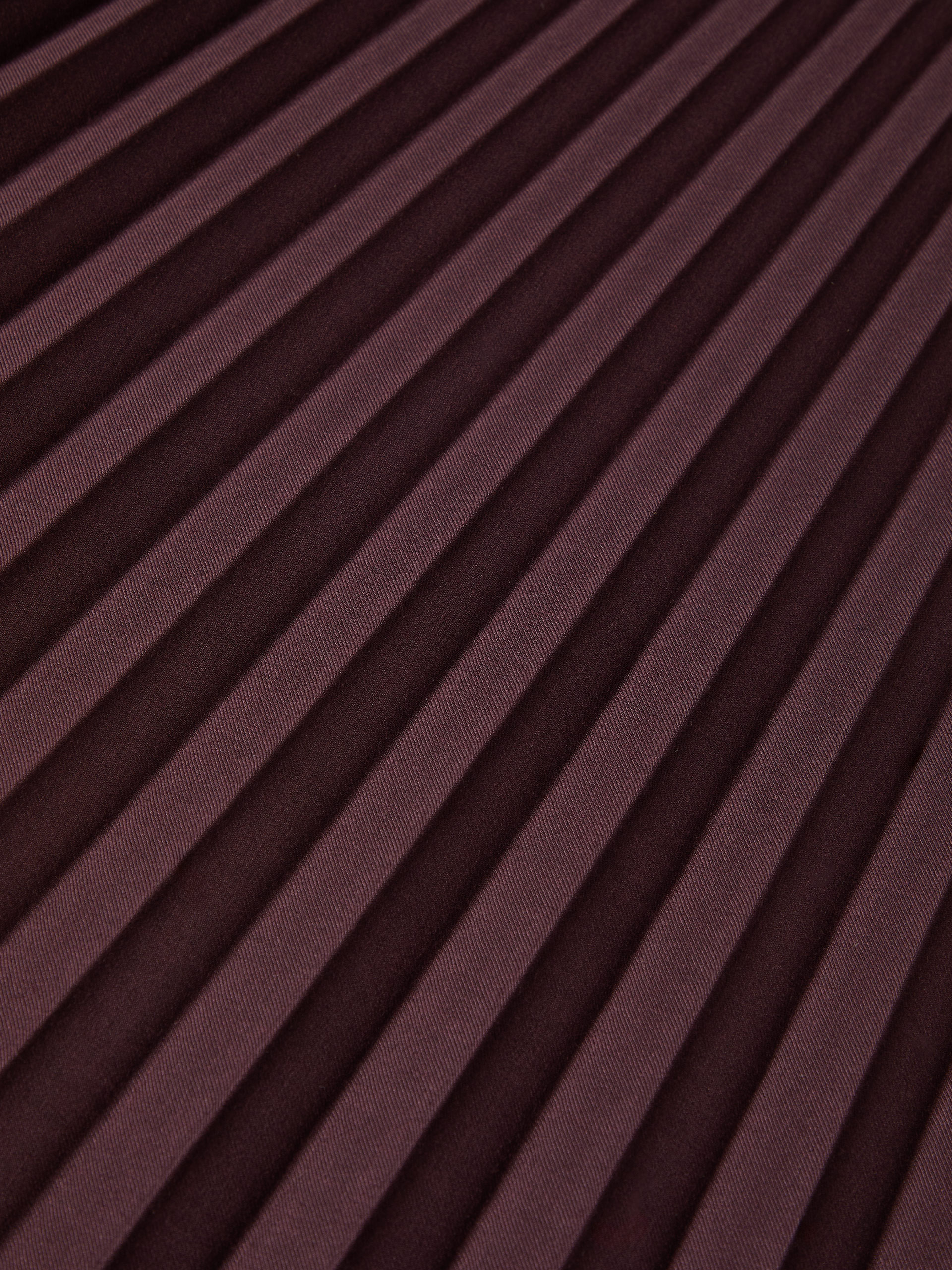 Falda larga plisada