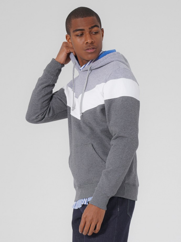 Tricolor sweatshirt with hood