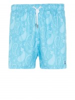 Swim Shorts