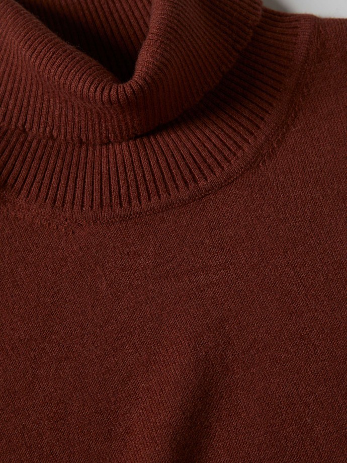 Turtleneck Sweater