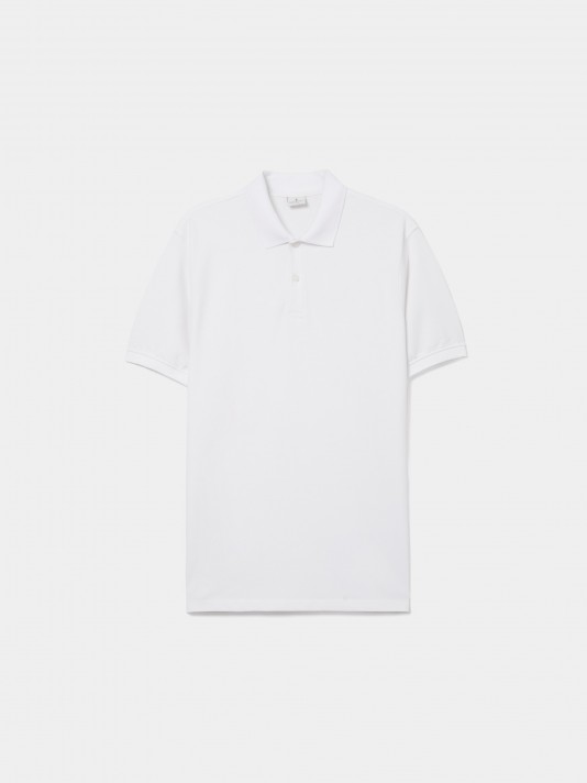 Polo bsico