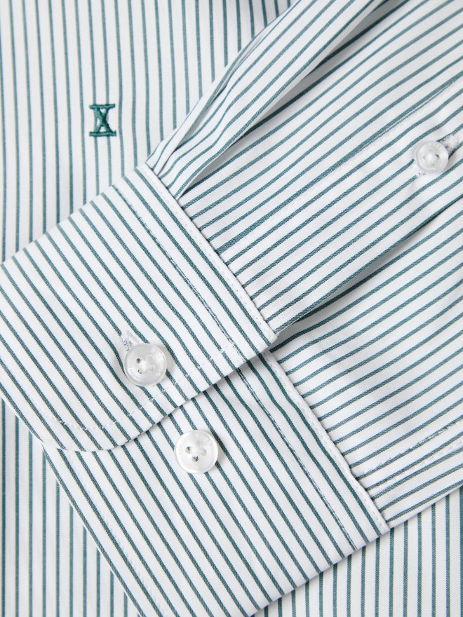 Camisa de rayas ajustada Camisa de rayas ajustada